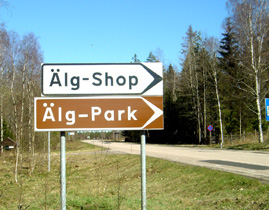 Elchpark in Schweden