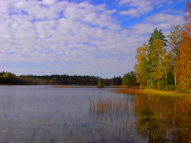Herbst in Schweden 2